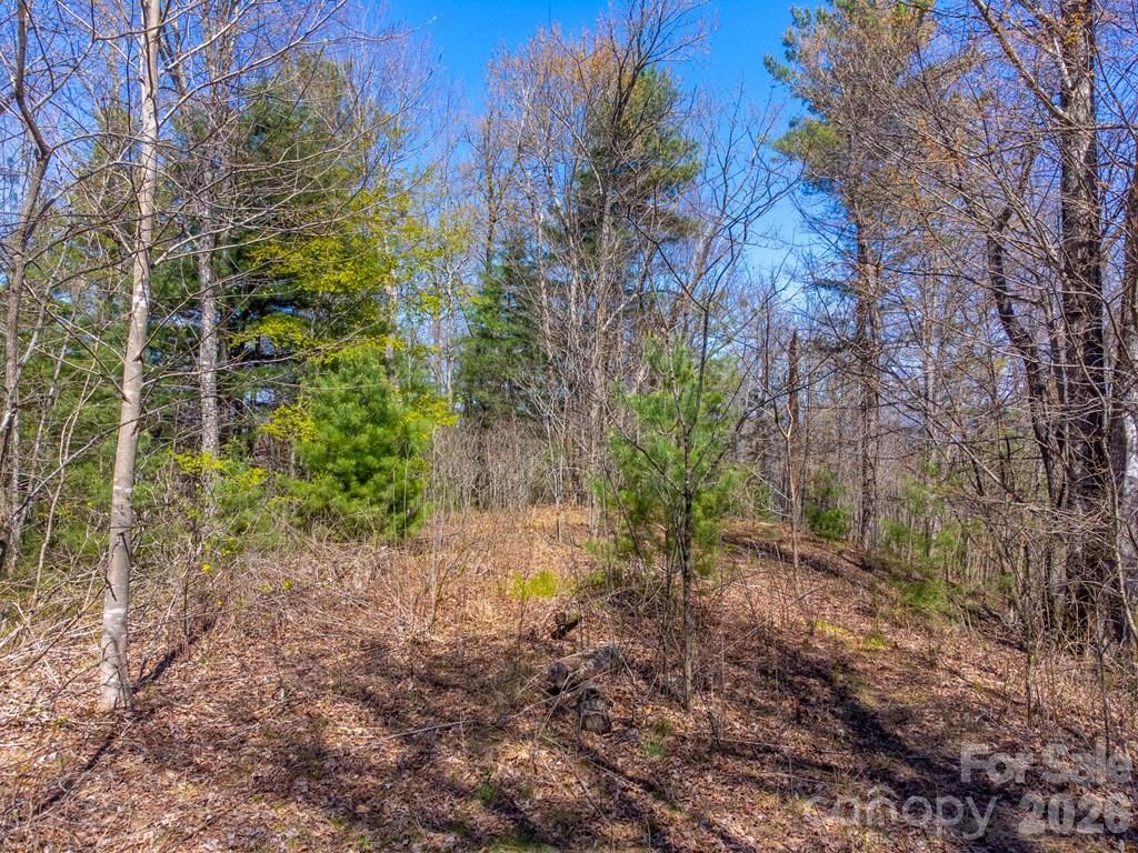 Lot 32 Fontana Trace Almond NC 28702
