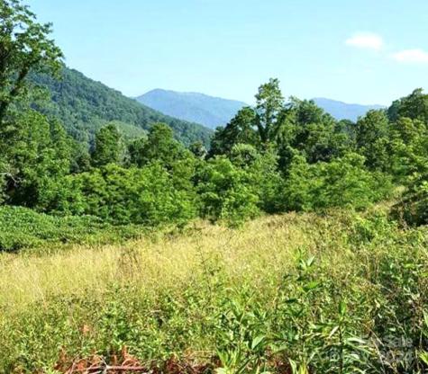 00 Split Pine Cove Clyde NC 28721