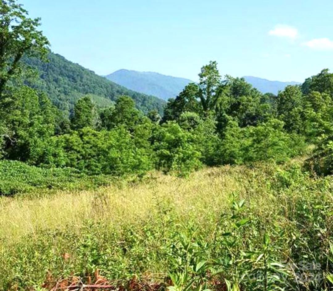 00 Split Pine Cove Clyde NC 28721