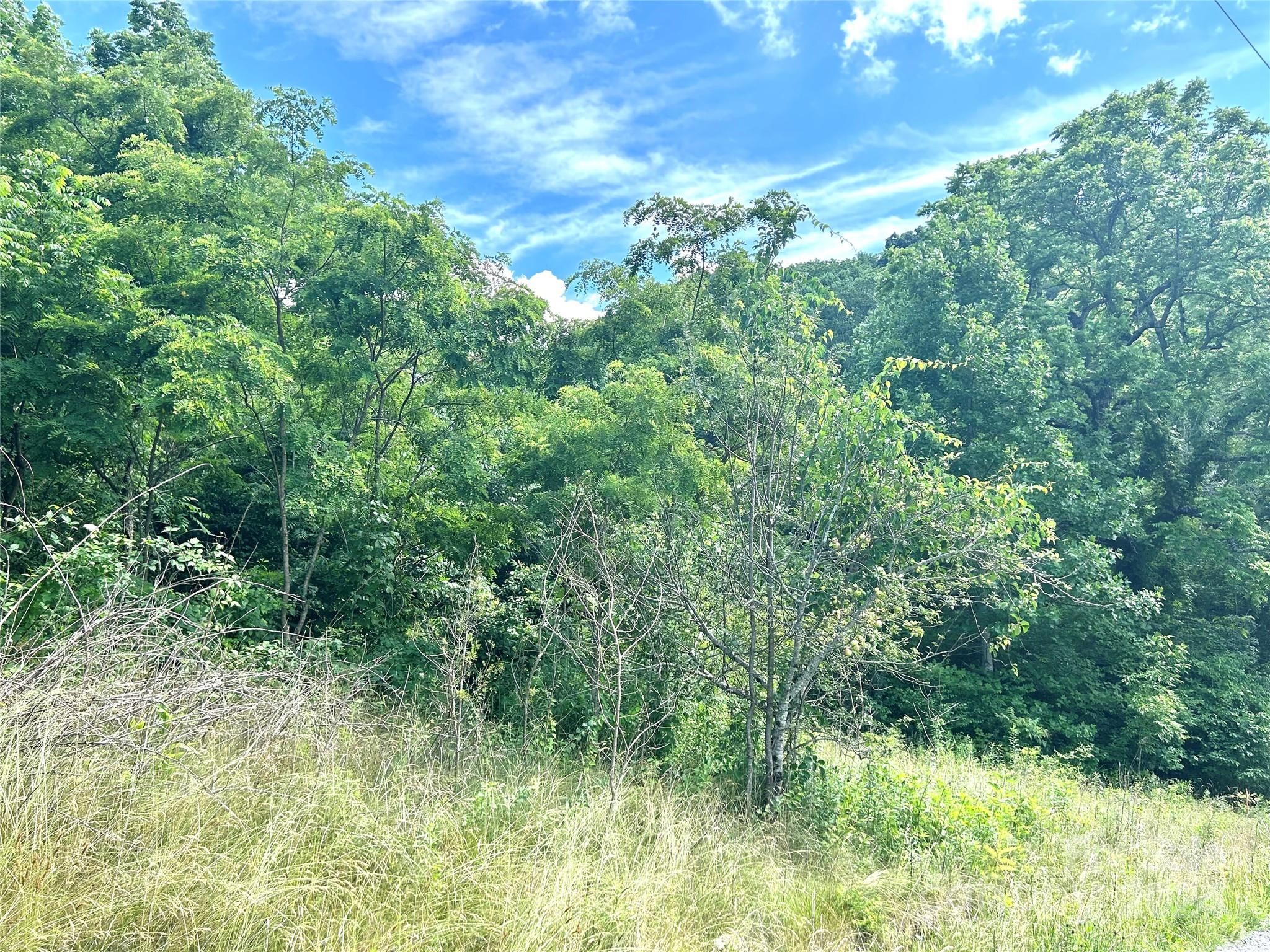 00 Split Pine Cove Clyde NC 28721