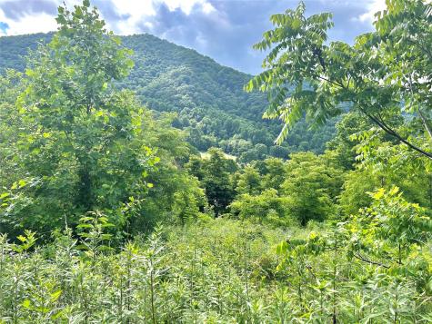 00 Split Pine Cove Clyde NC 28721