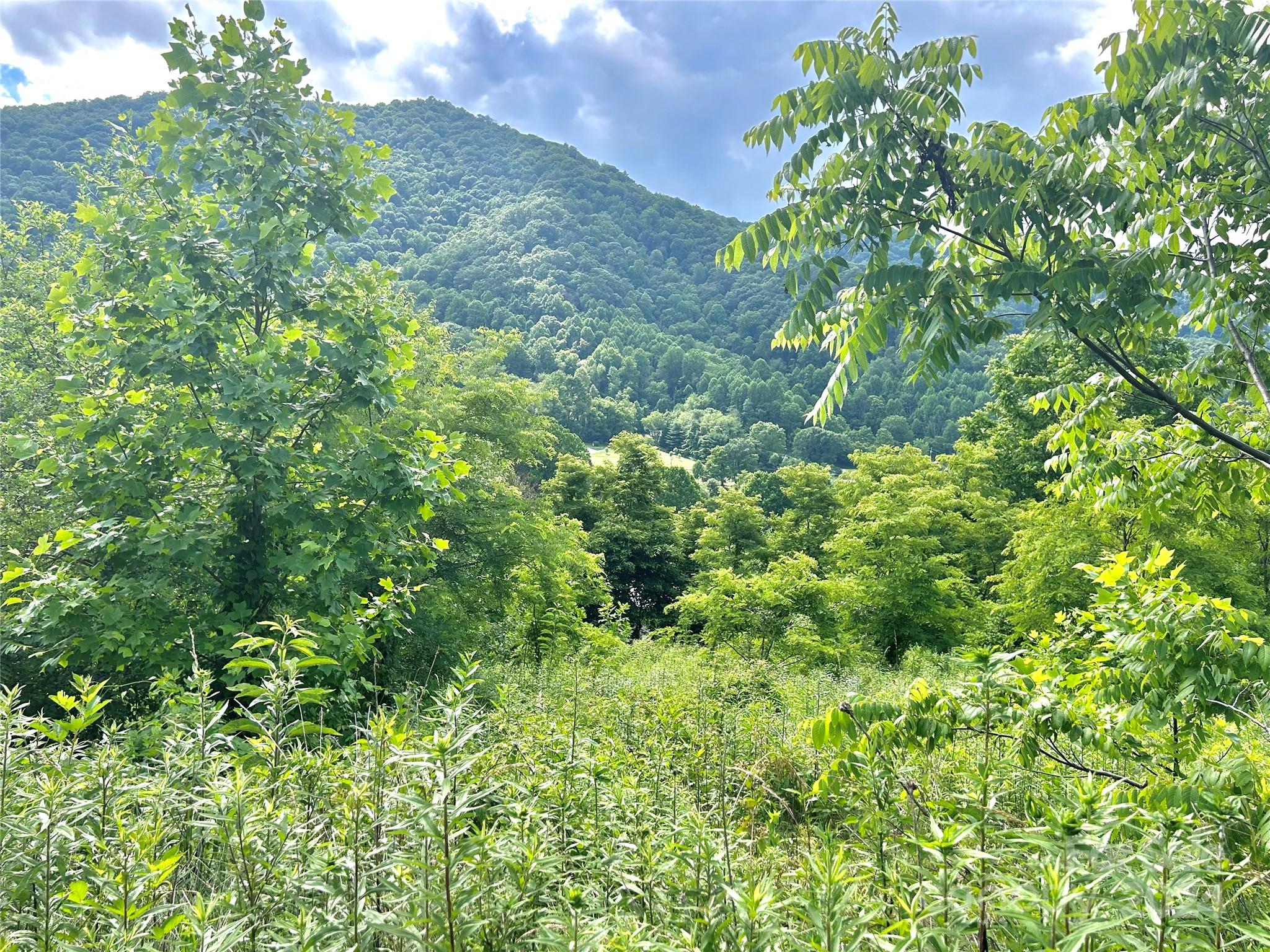 00 Split Pine Cove Clyde NC 28721