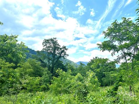 00 Split Pine Cove Clyde NC 28721