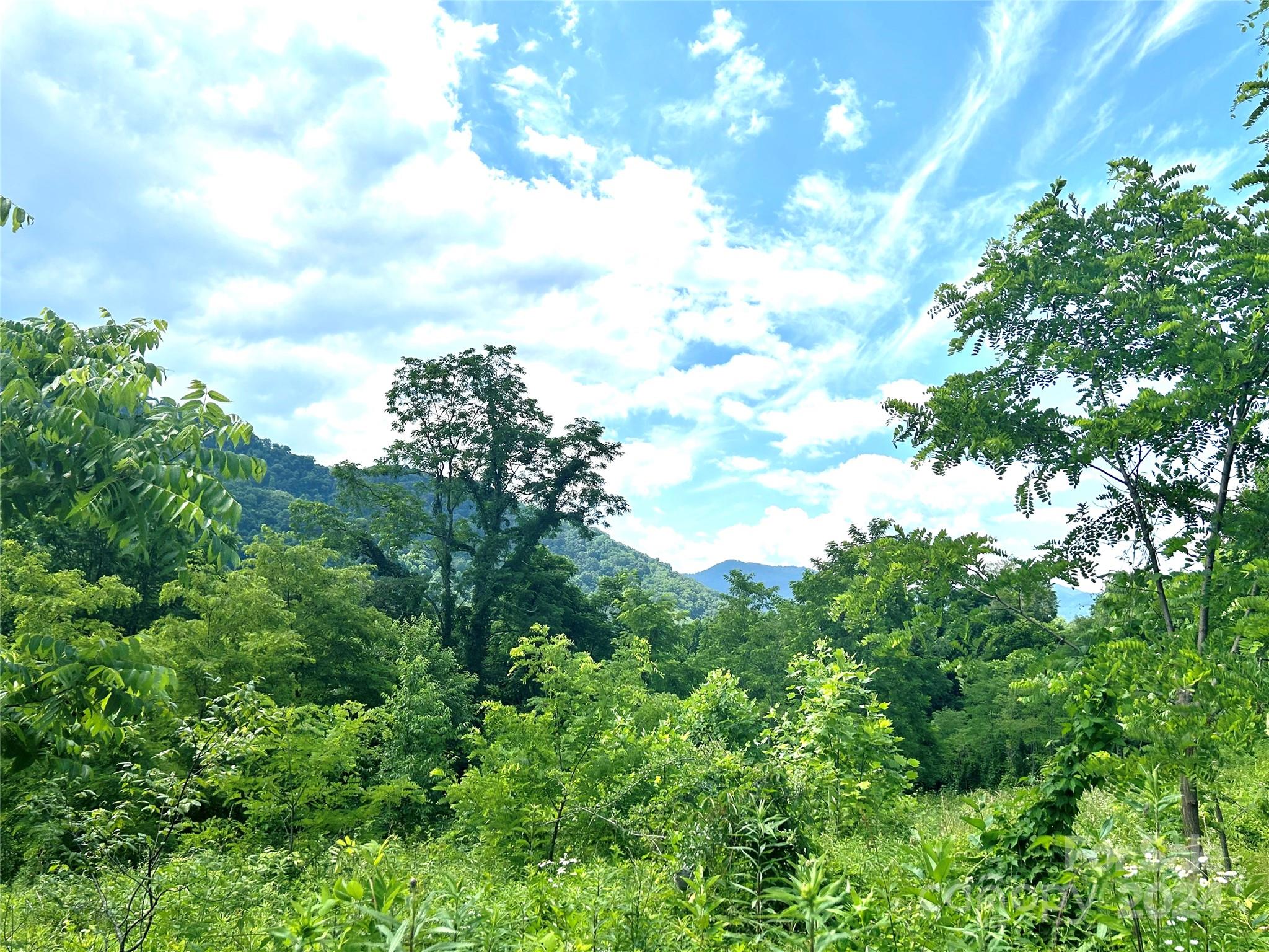 00 Split Pine Cove Clyde NC 28721