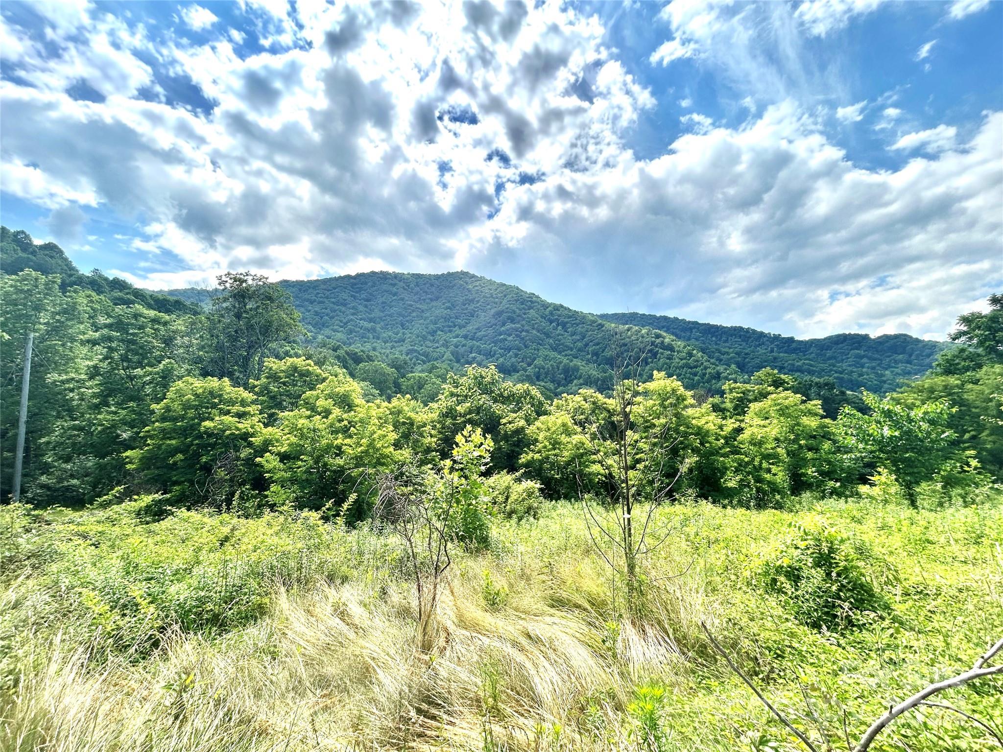 00 Split Pine Cove Clyde NC 28721