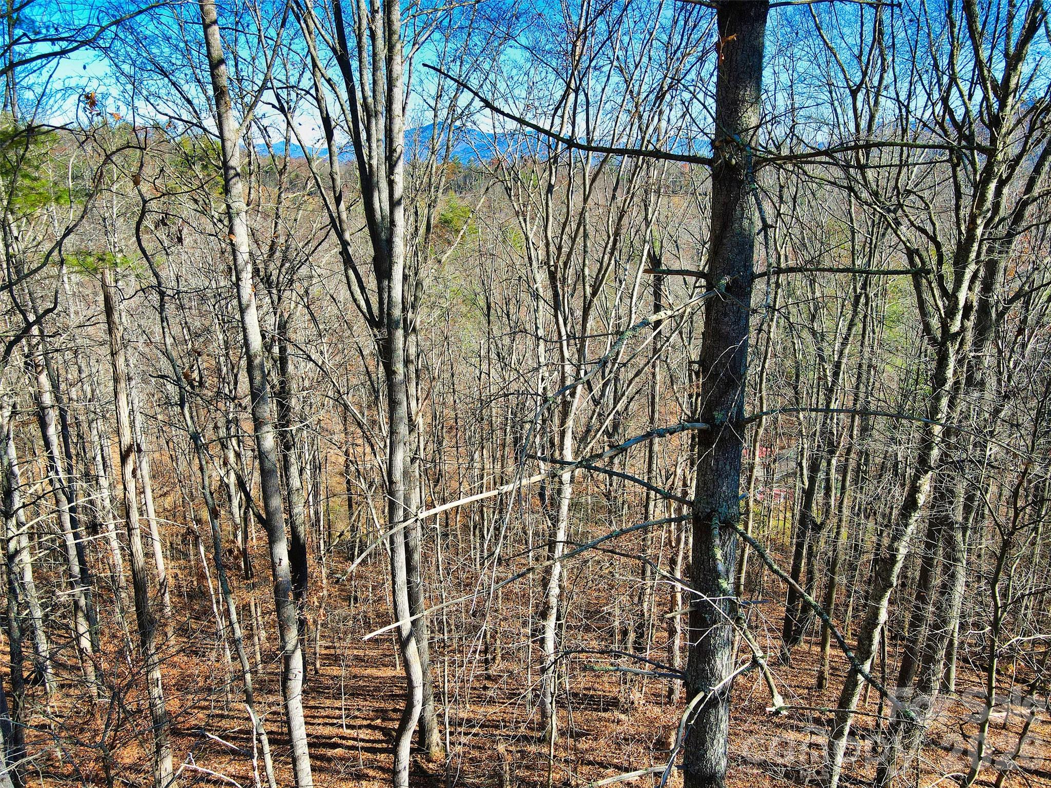 Tbd Rocking Horse Trail Burnsville NC 28714
