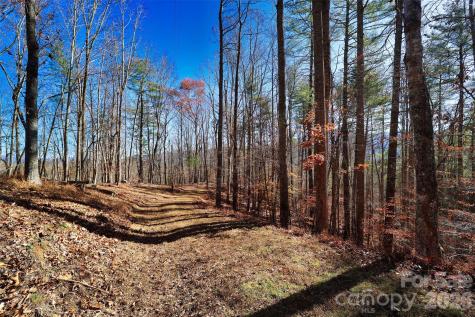 Tbd Rocking Horse Trail Burnsville NC 28714