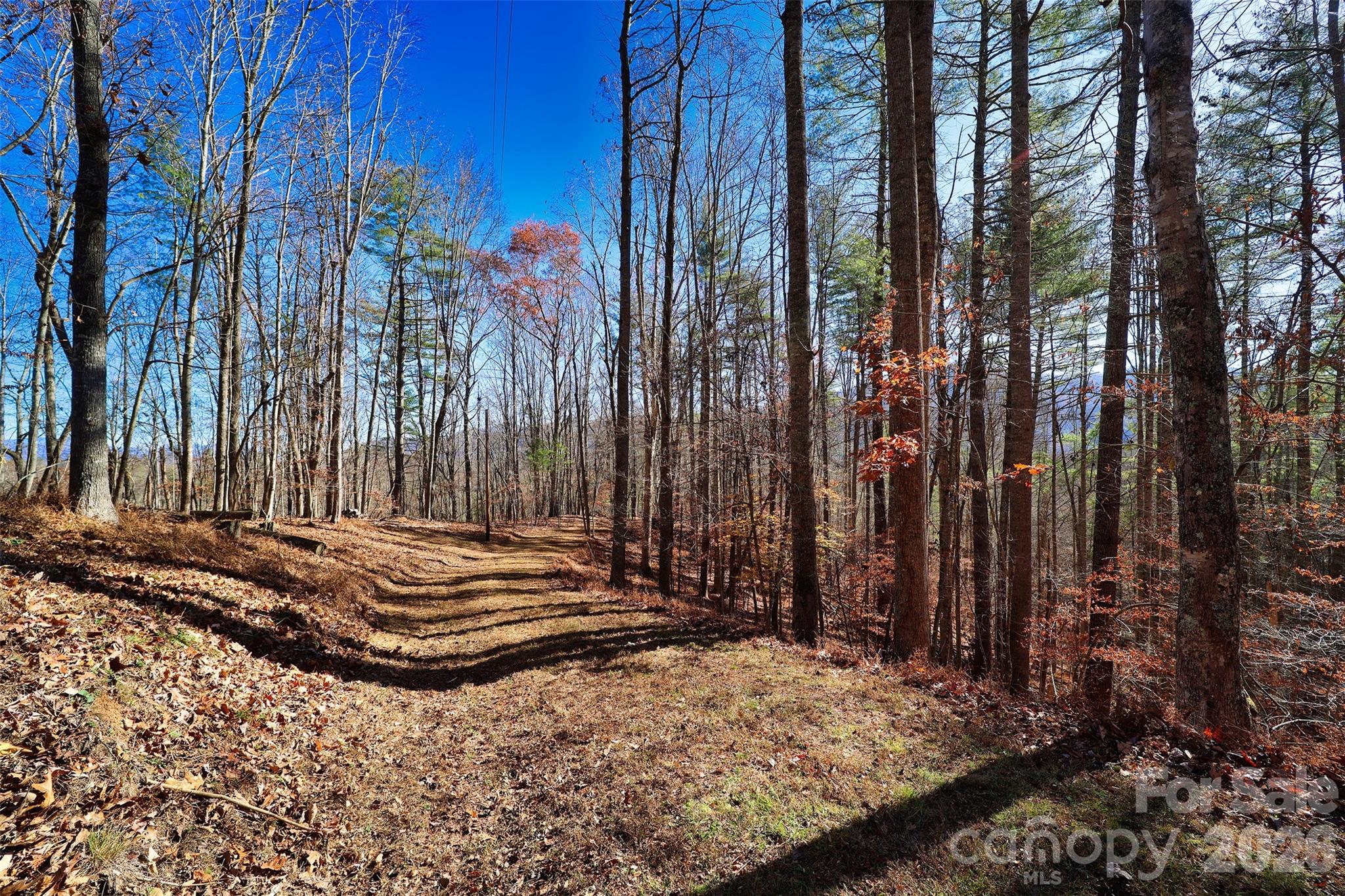Tbd Rocking Horse Trail Burnsville NC 28714