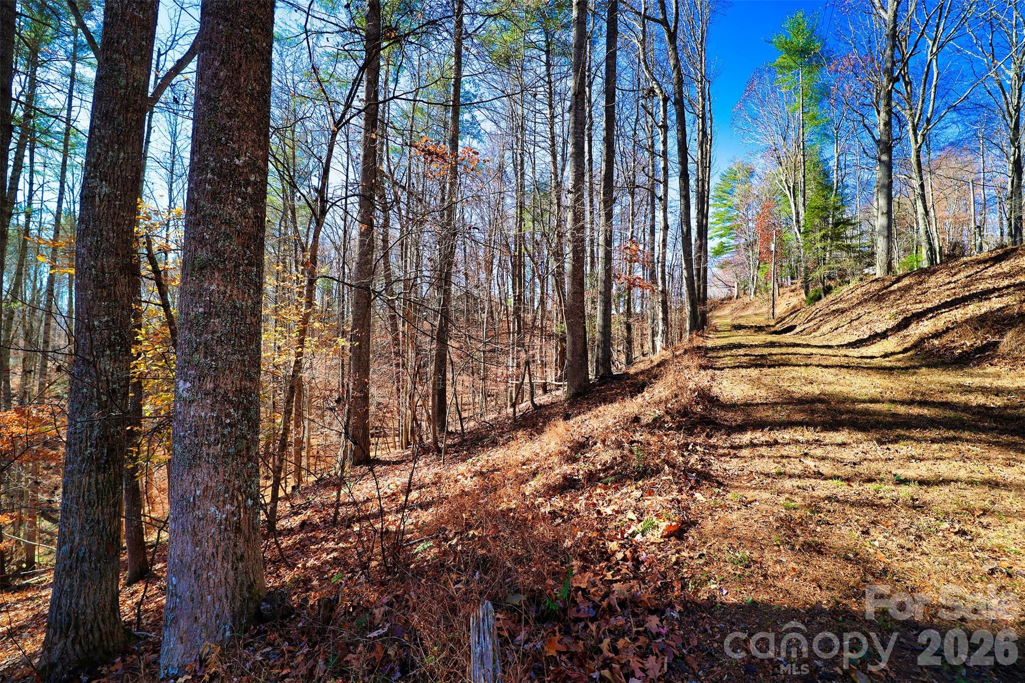 Tbd Rocking Horse Trail Burnsville NC 28714