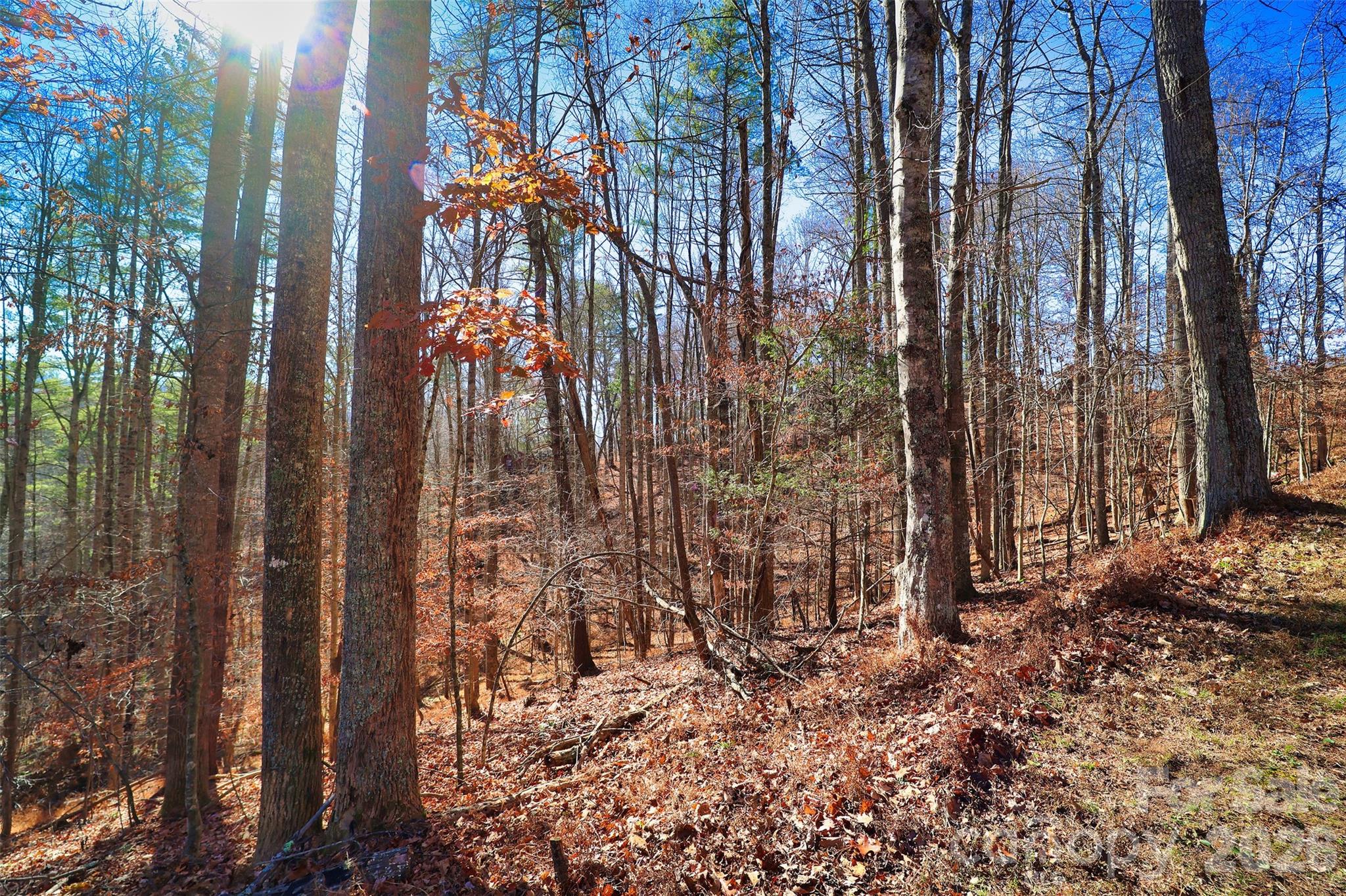Tbd Rocking Horse Trail Burnsville NC 28714