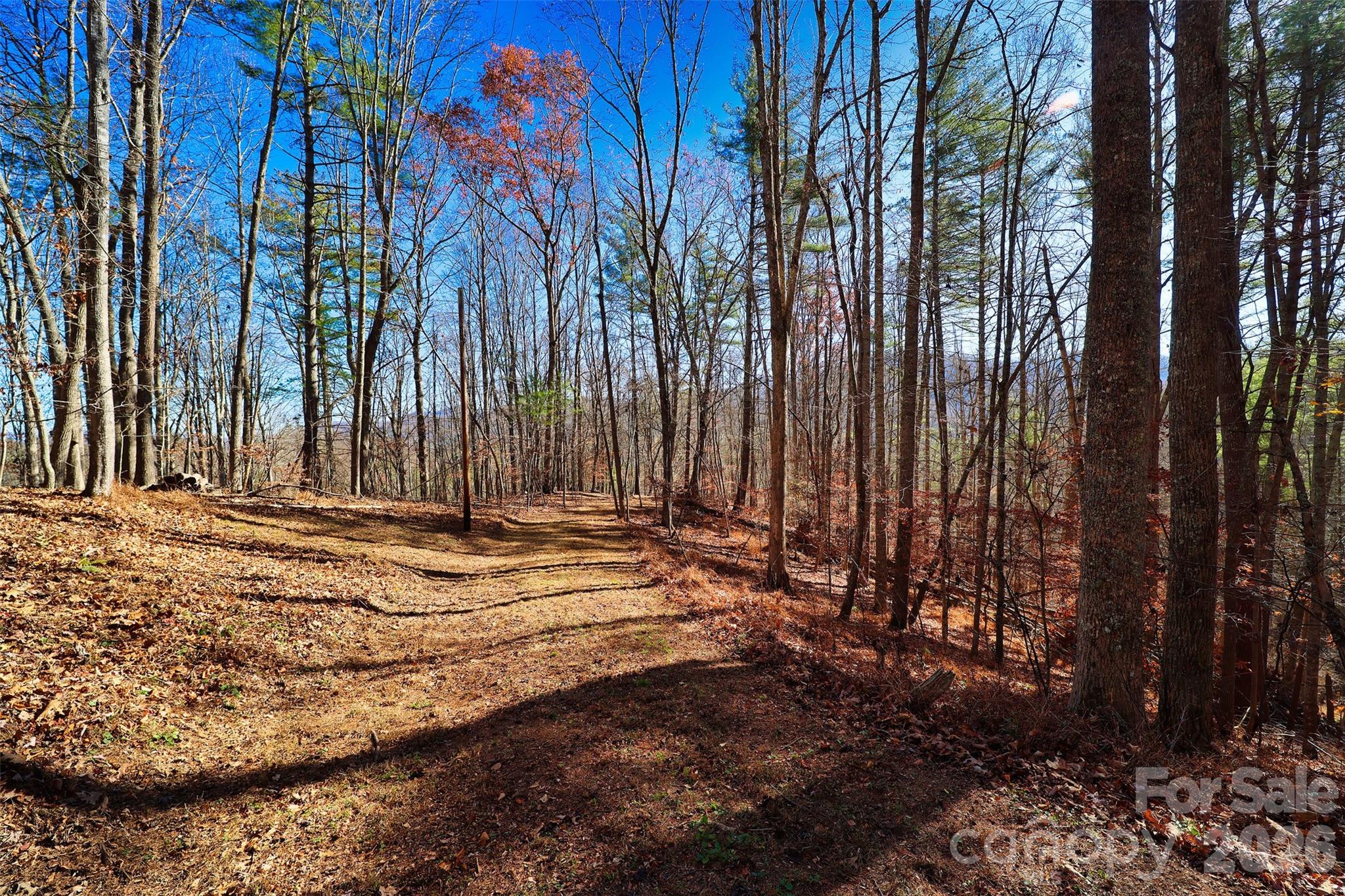 Tbd Rocking Horse Trail Burnsville NC 28714