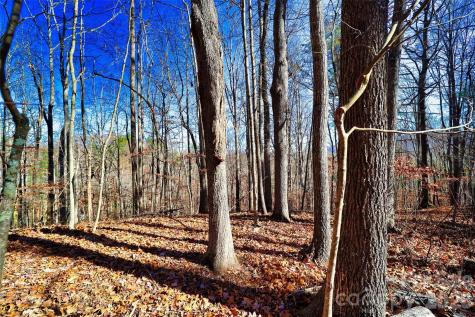 Tbd Rocking Horse Trail Burnsville NC 28714