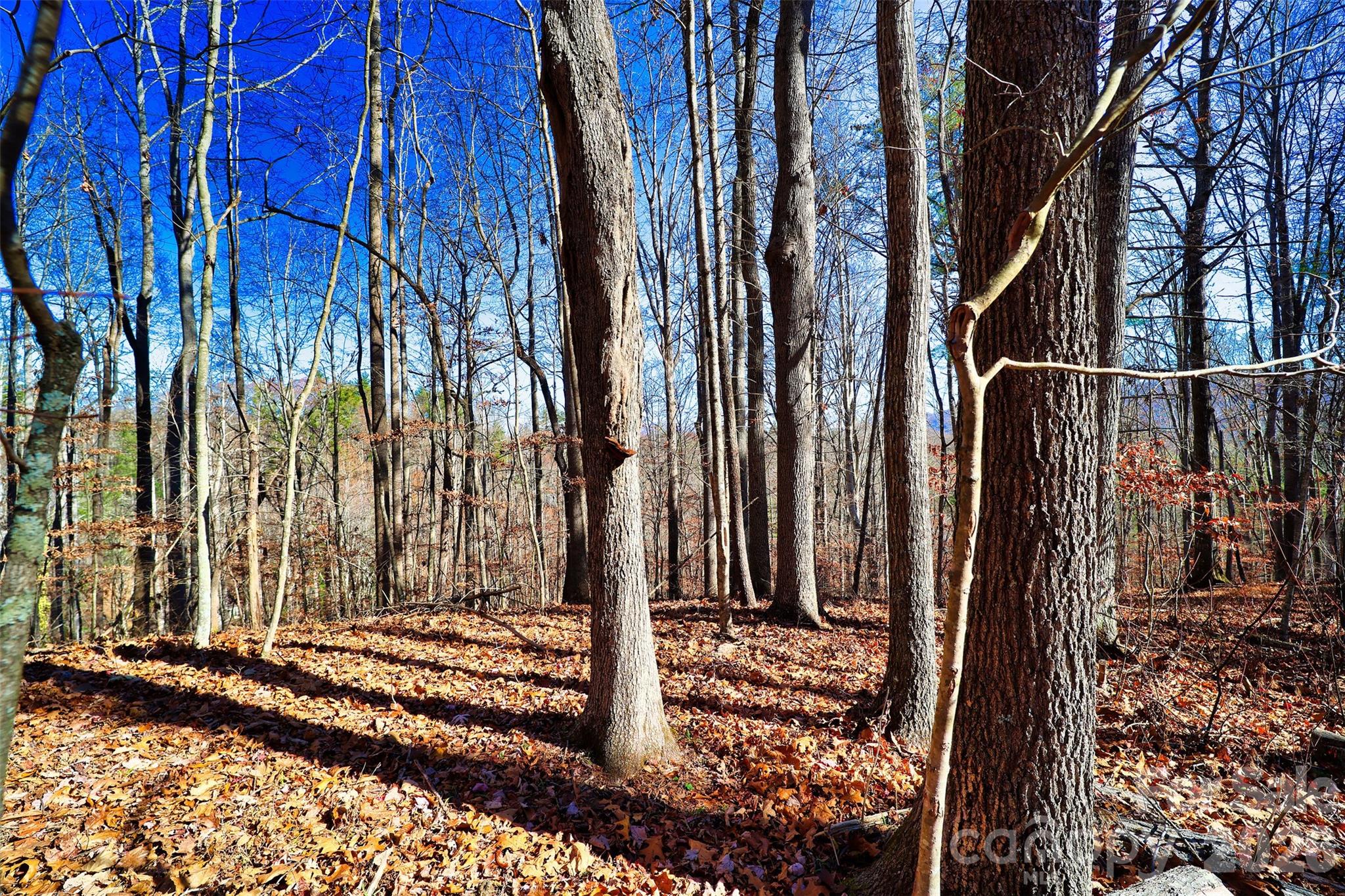 Tbd Rocking Horse Trail Burnsville NC 28714