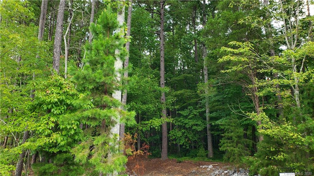 133 Parkstone Drive Troutman NC 28166
