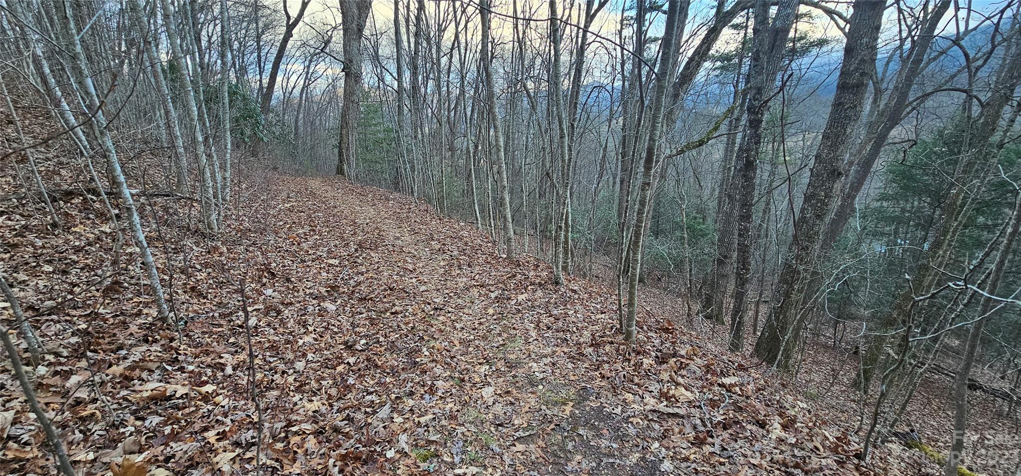 Lot 9 Seay Mountain Road Waynesville NC 28785