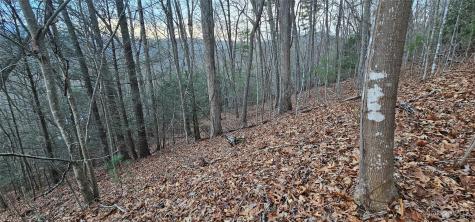 Lot 9 Seay Mountain Road Waynesville NC 28785