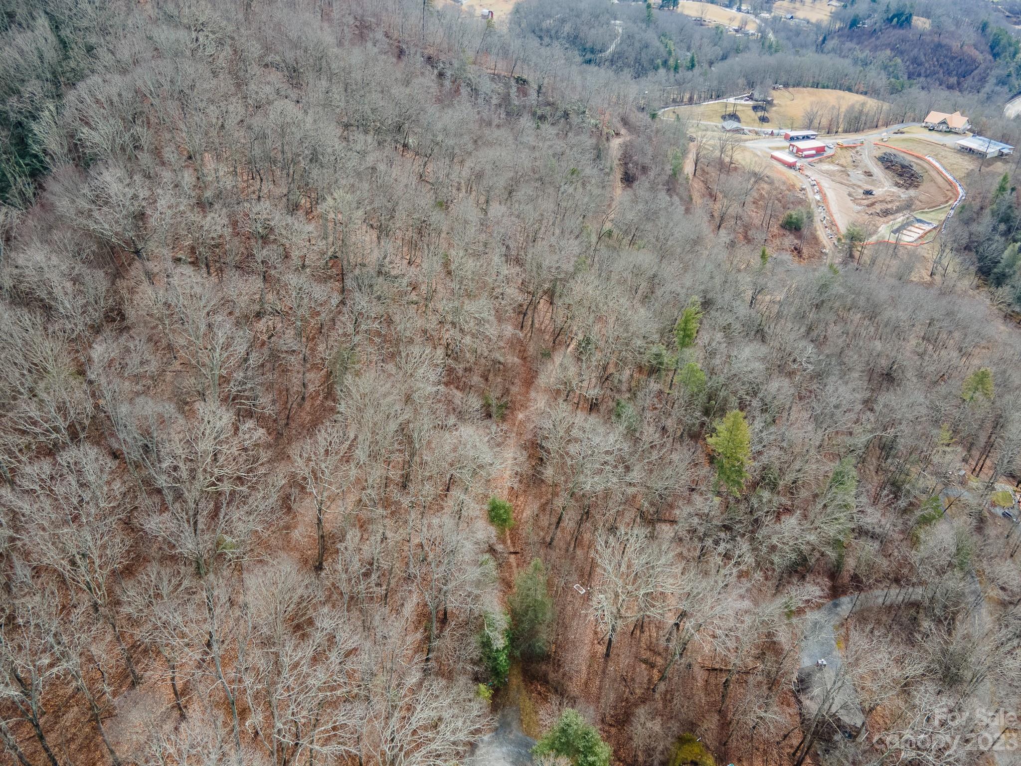 Lot 9 Seay Mountain Road Waynesville NC 28785