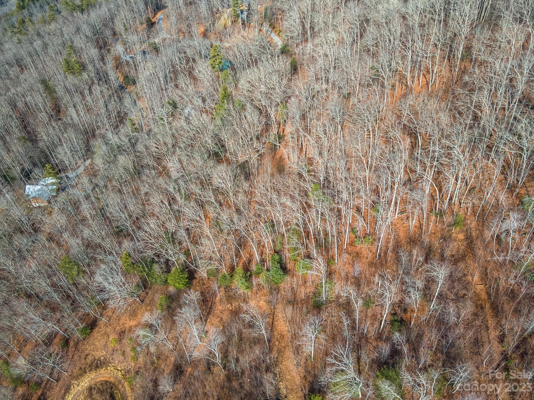 Lot 9 Seay Mountain Road Waynesville NC 28785
