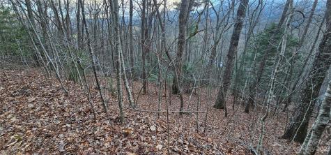 Lot 9 Seay Mountain Road Waynesville NC 28785
