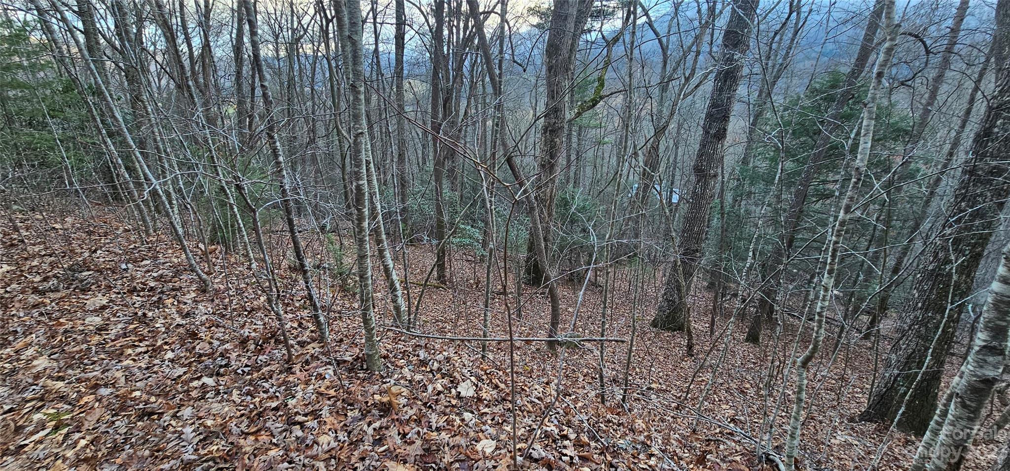 Lot 9 Seay Mountain Road Waynesville NC 28785