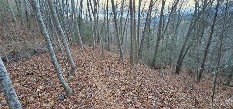 Lot 9 Seay Mountain Road Waynesville NC 28785