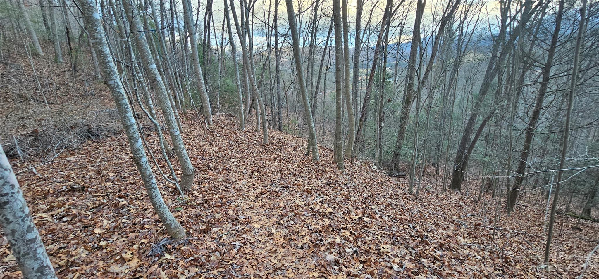 Lot 9 Seay Mountain Road Waynesville NC 28785