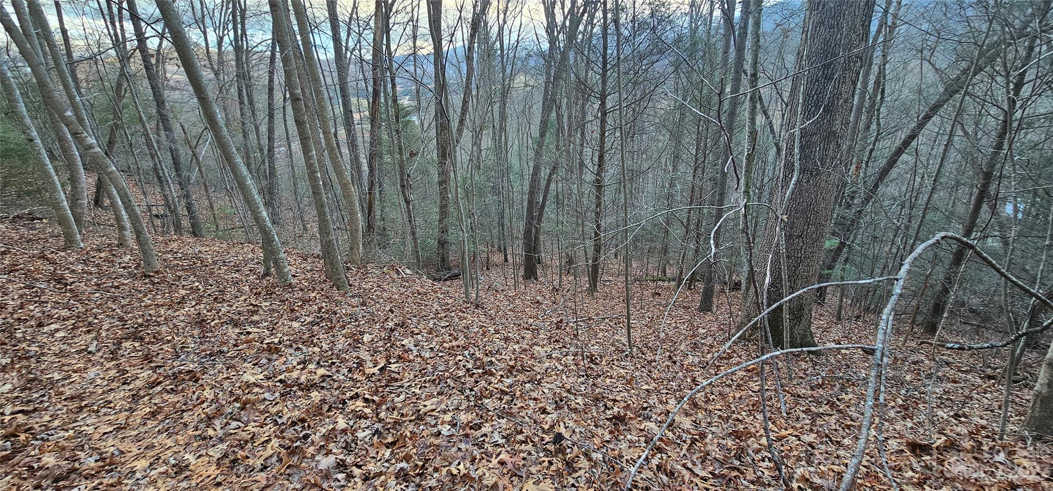 Lot 9 Seay Mountain Road Waynesville NC 28785
