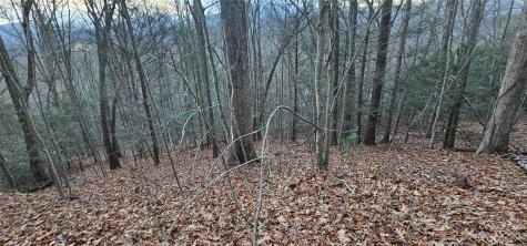 Lot 9 Seay Mountain Road Waynesville NC 28785