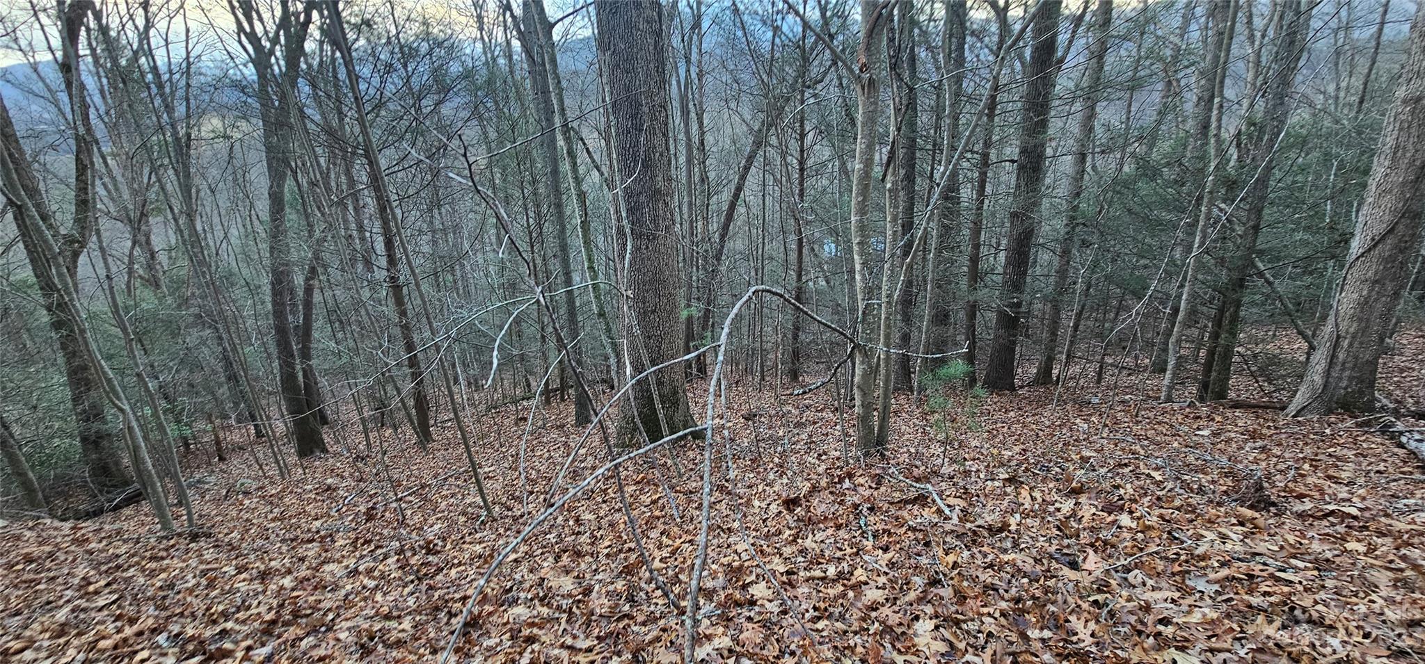 Lot 9 Seay Mountain Road Waynesville NC 28785