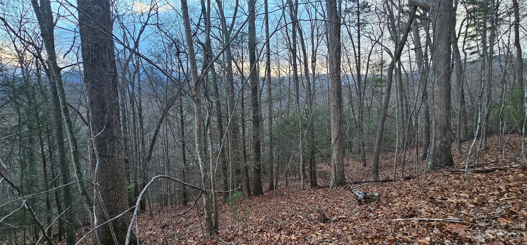 Lot 9 Seay Mountain Road Waynesville NC 28785