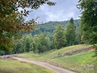 1957 Upper Tuskeegee Road Robbinsville NC 23771
