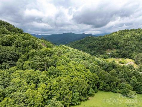 00 Waterwheel Cove Clyde NC 28721