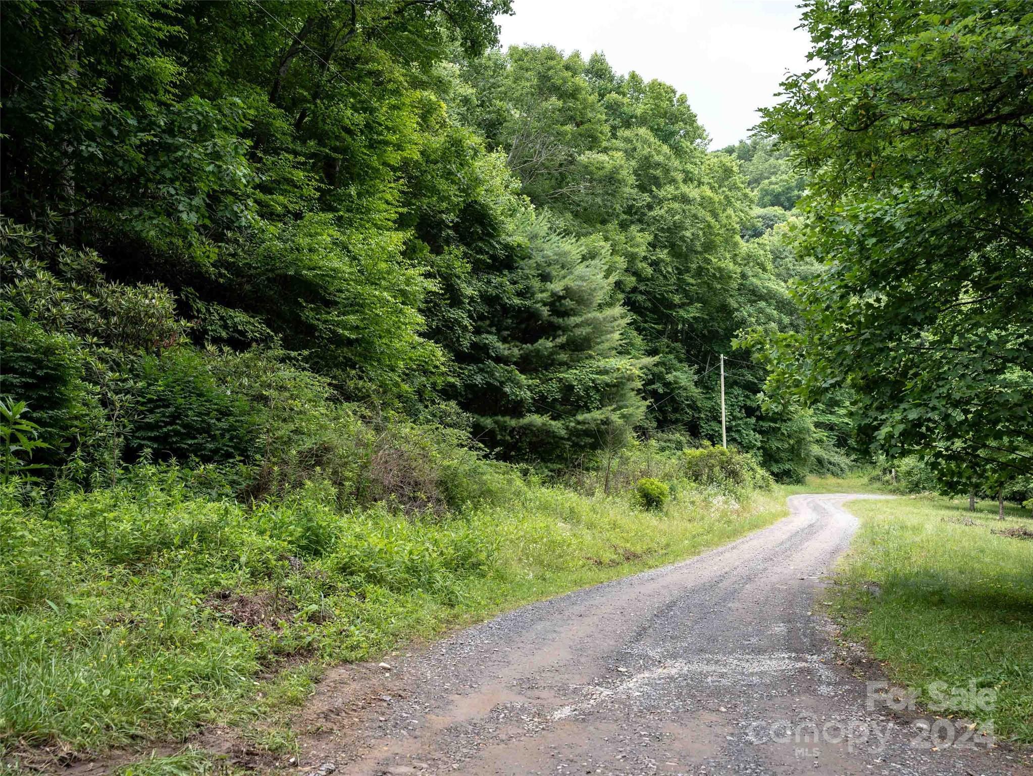 00 Waterwheel Cove Clyde NC 28721