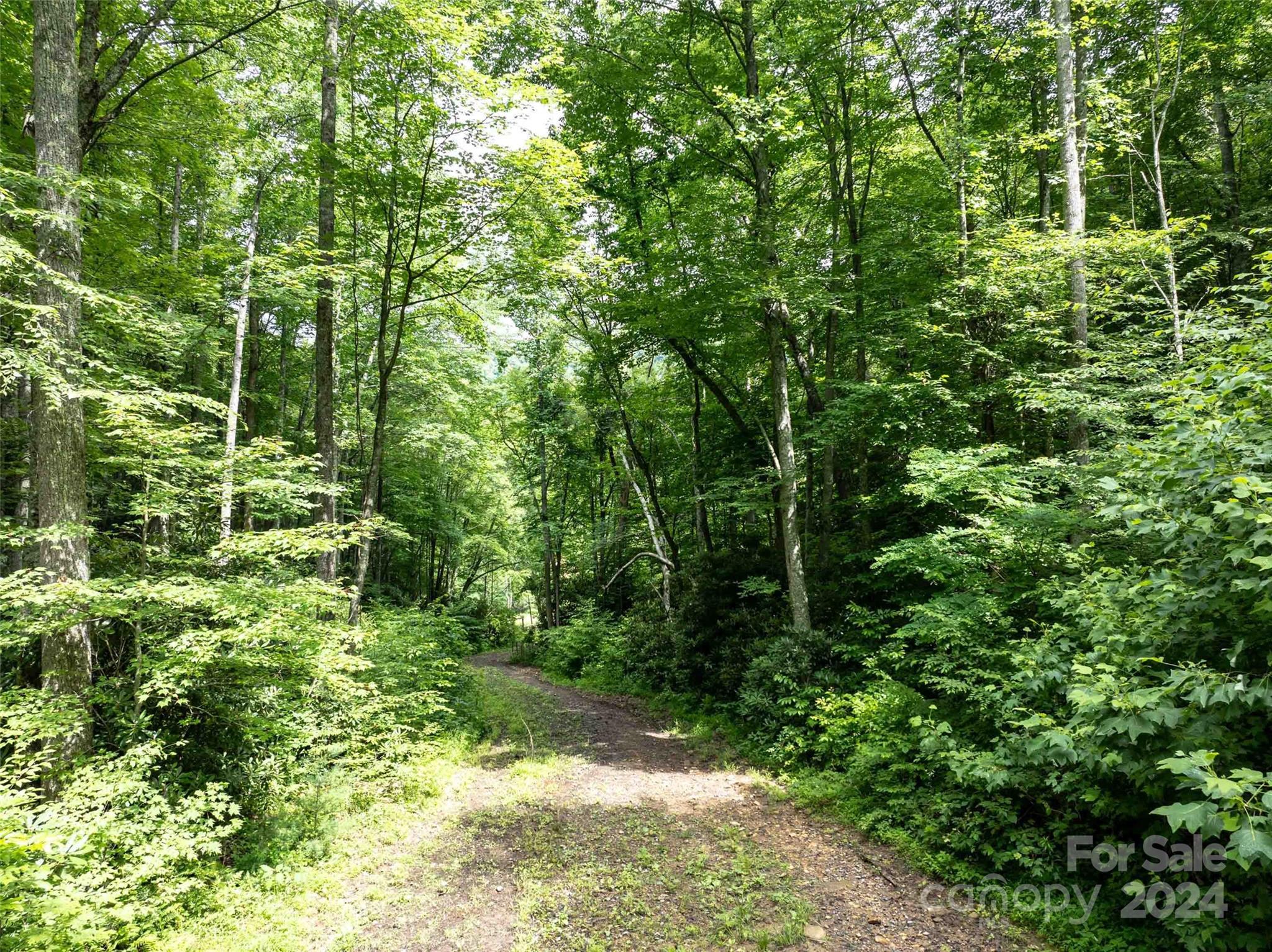 00 Waterwheel Cove Clyde NC 28721