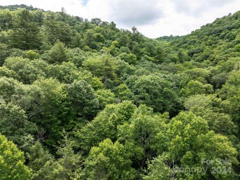 00 Waterwheel Cove Clyde NC 28721
