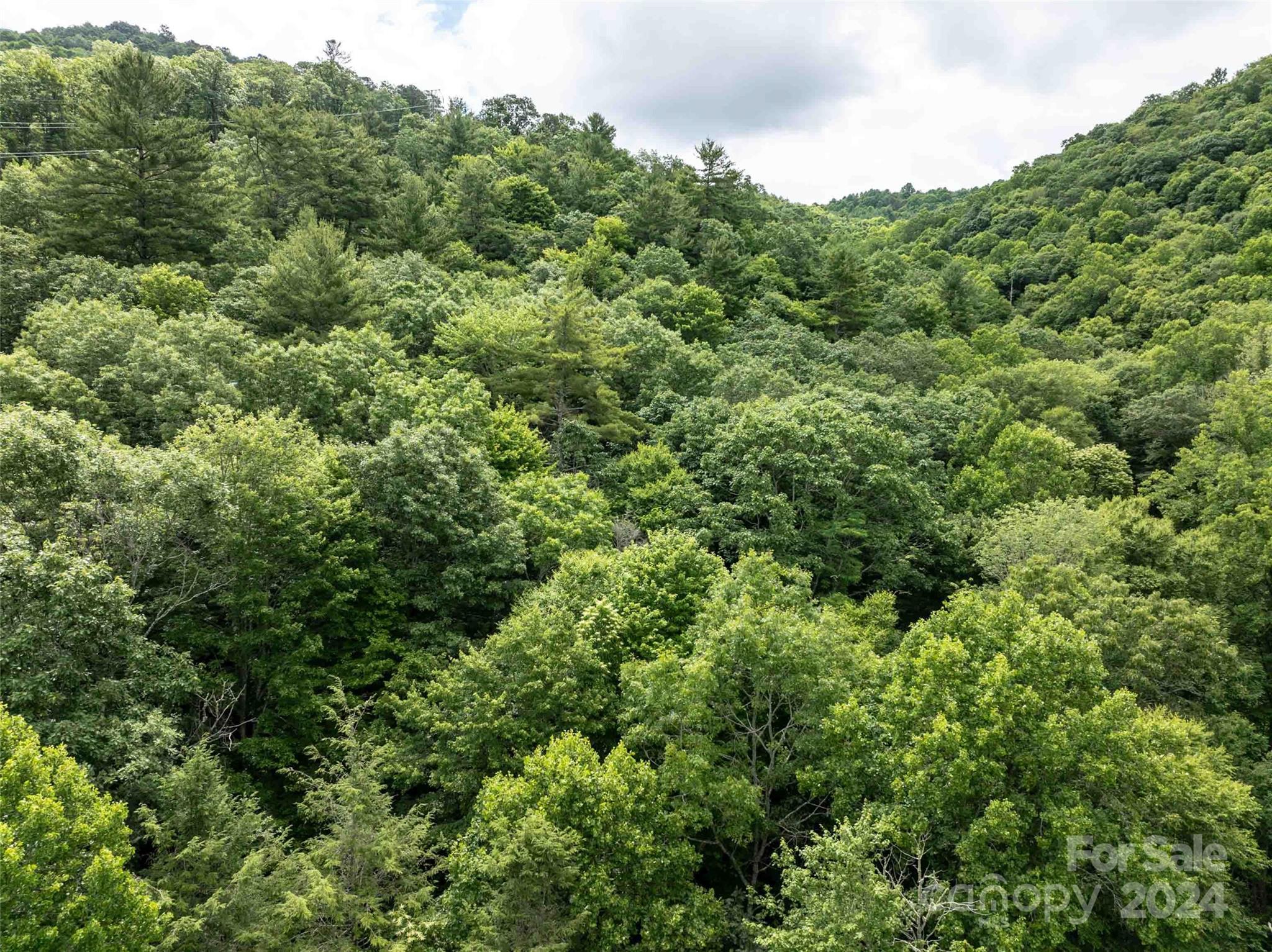 00 Waterwheel Cove Clyde NC 28721