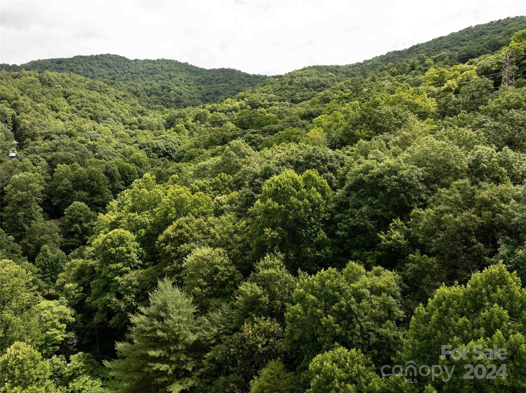00 Waterwheel Cove Clyde NC 28721