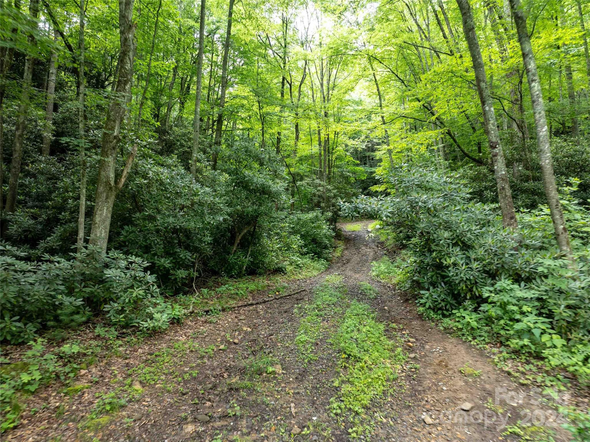 00 Waterwheel Cove Clyde NC 28721