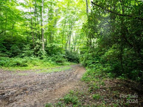 00 Waterwheel Cove Clyde NC 28721