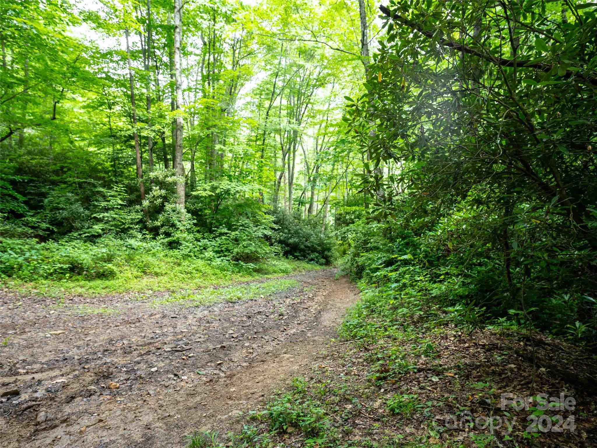 00 Waterwheel Cove Clyde NC 28721