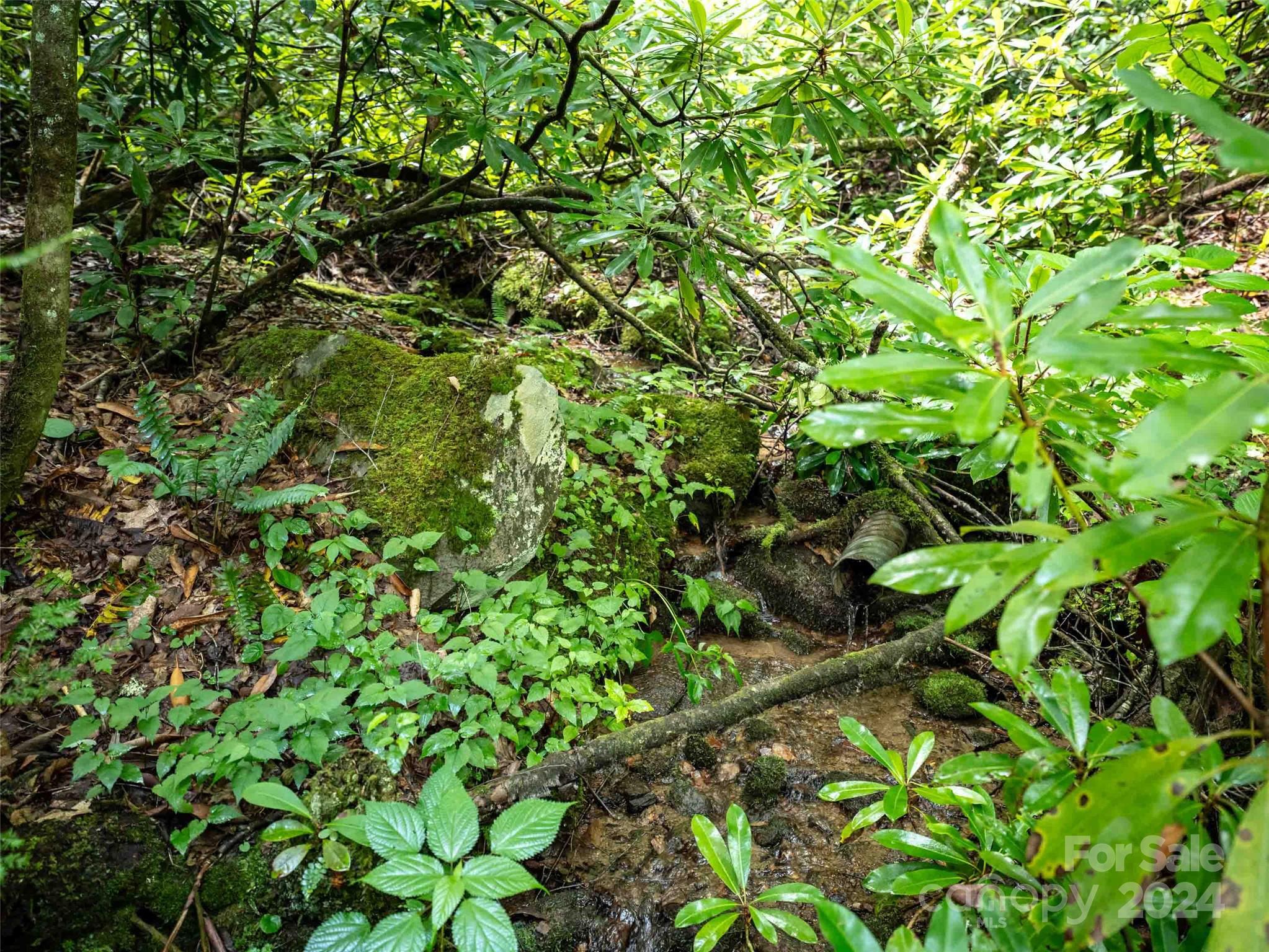 00 Waterwheel Cove Clyde NC 28721
