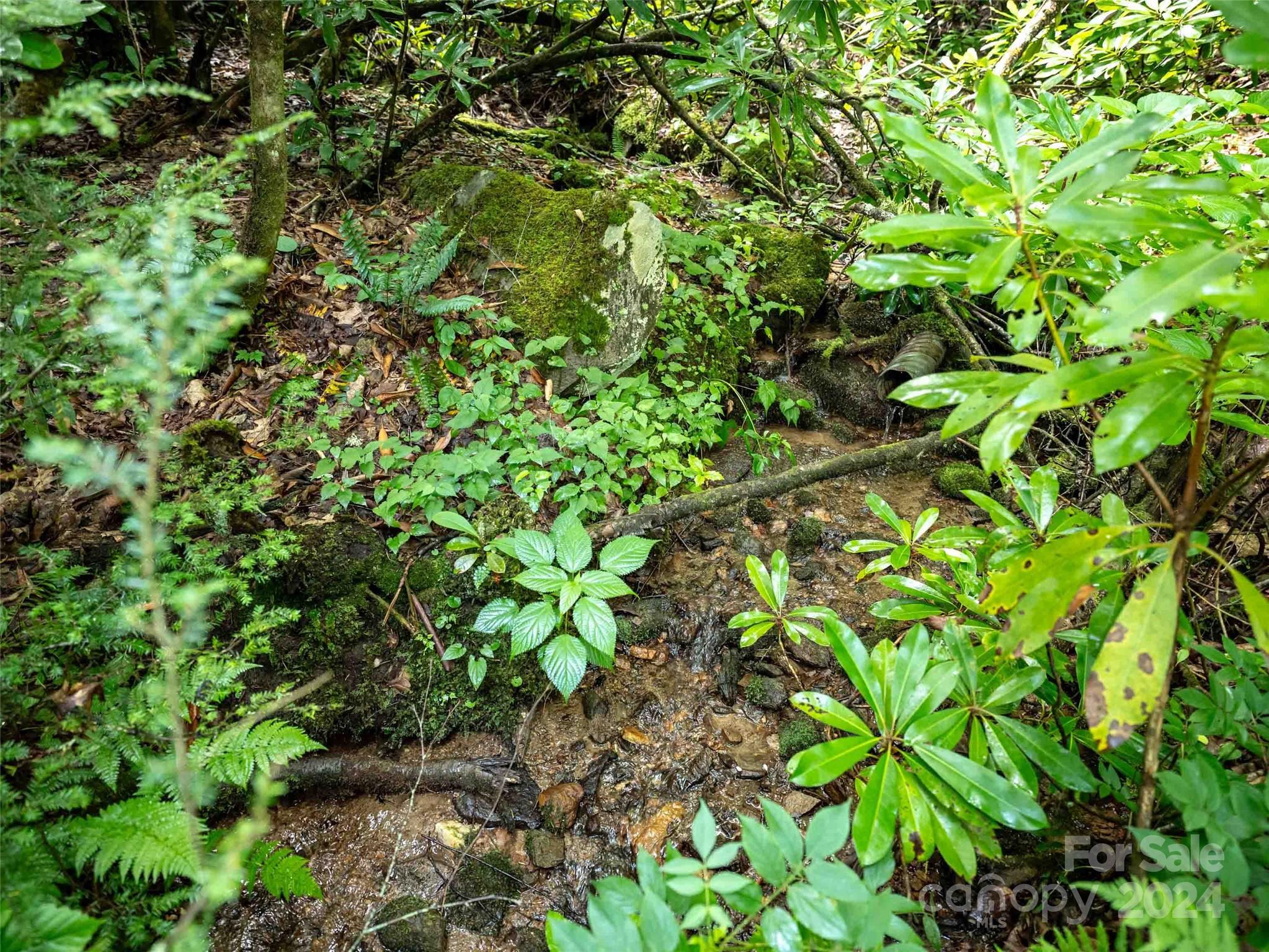00 Waterwheel Cove Clyde NC 28721