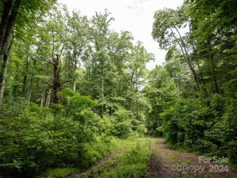 00 Waterwheel Cove Clyde NC 28721