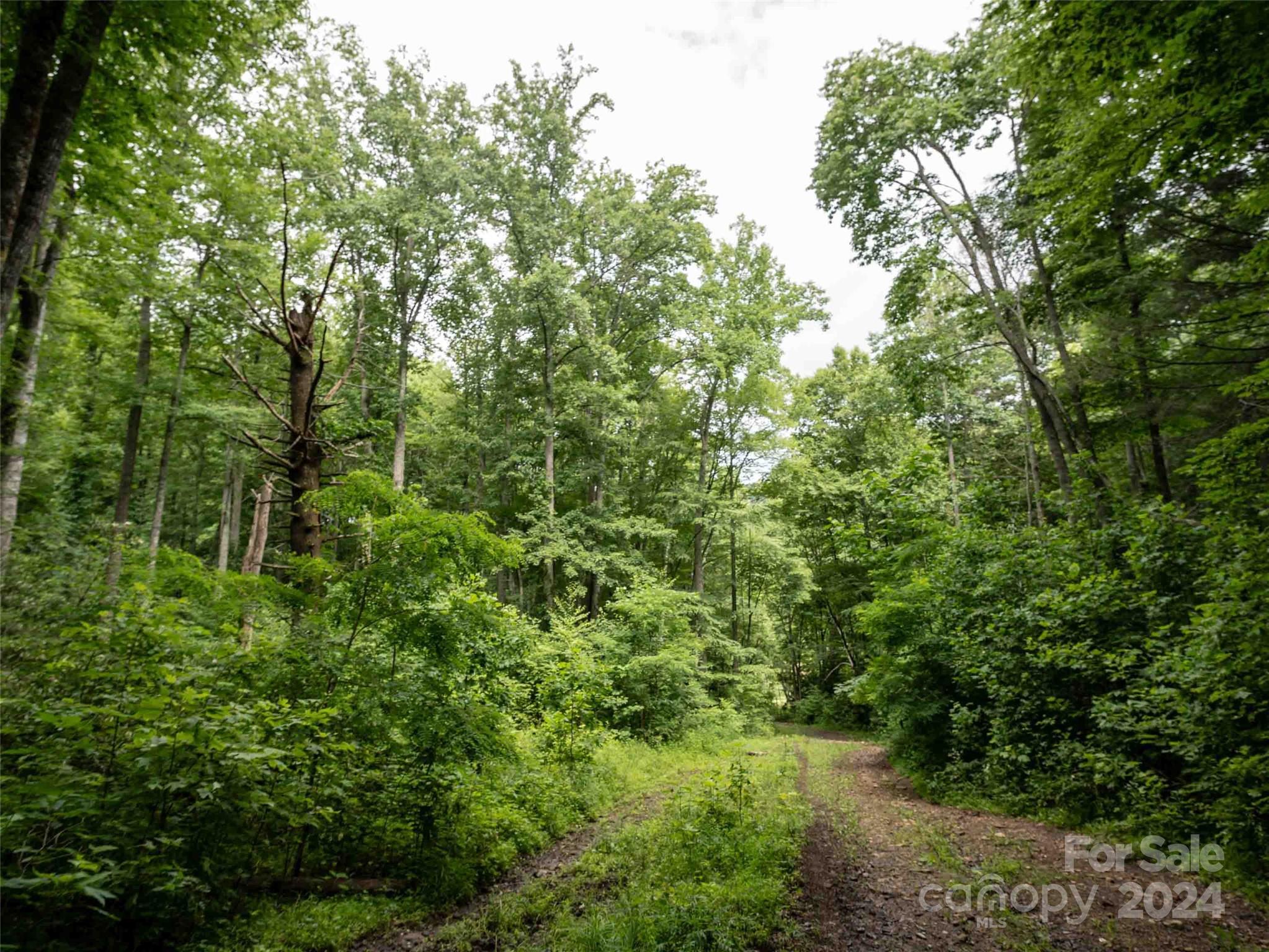 00 Waterwheel Cove Clyde NC 28721