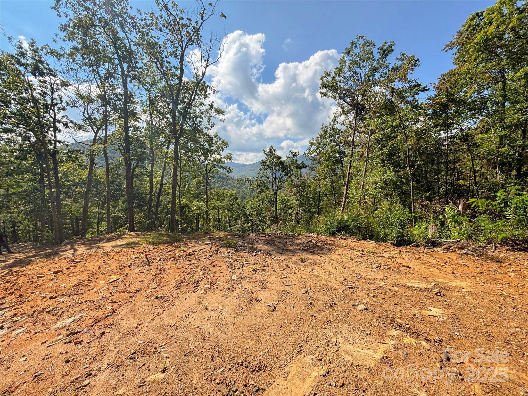 8888 Cedar Creek Farm Road Tuckasegee NC 28783