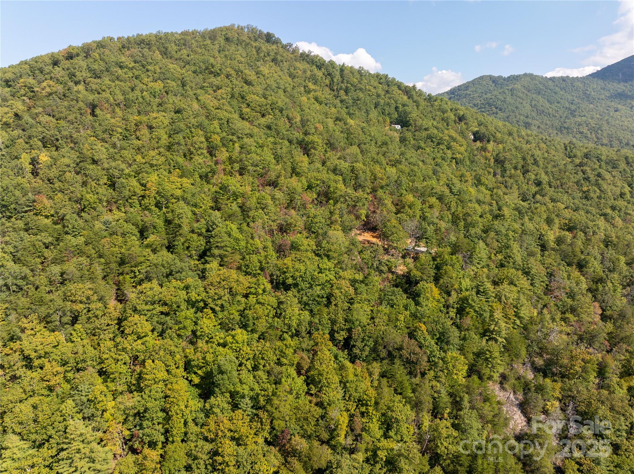 8888 Cedar Creek Farm Road Tuckasegee NC 28783