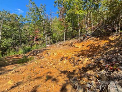 8888 Cedar Creek Farm Road Tuckasegee NC 28783