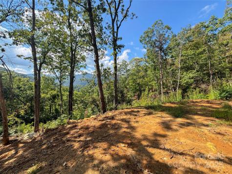 8888 Cedar Creek Farm Road Tuckasegee NC 28783