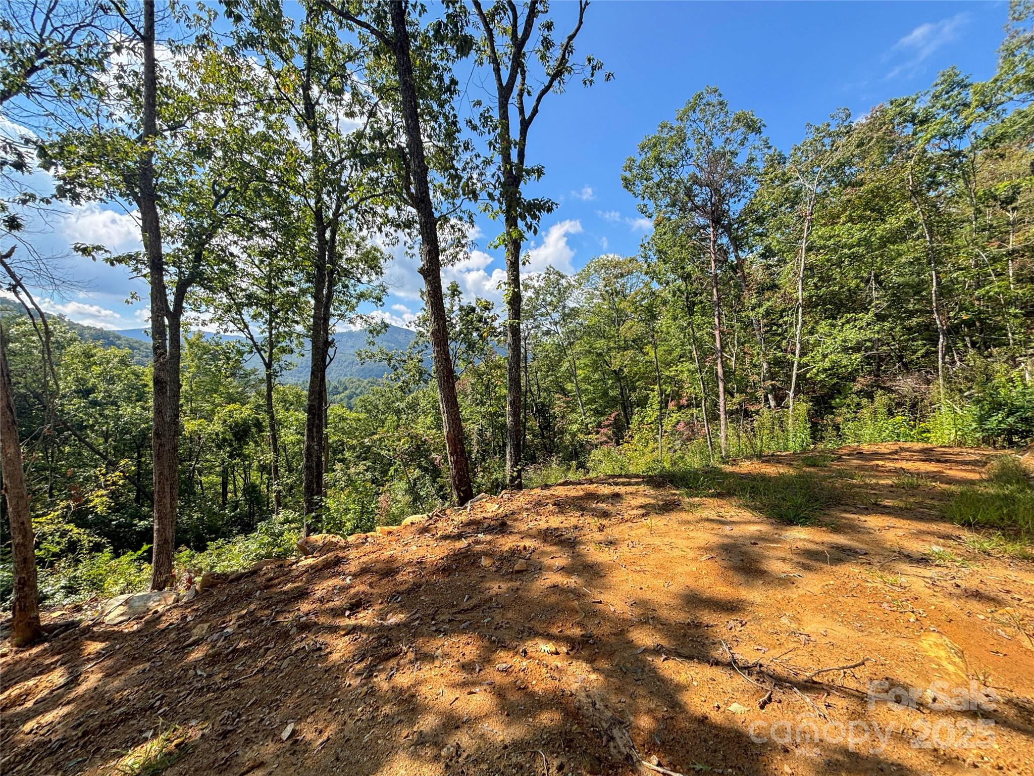 8888 Cedar Creek Farm Road Tuckasegee NC 28783