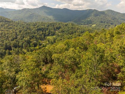 8888 Cedar Creek Farm Road Tuckasegee NC 28783